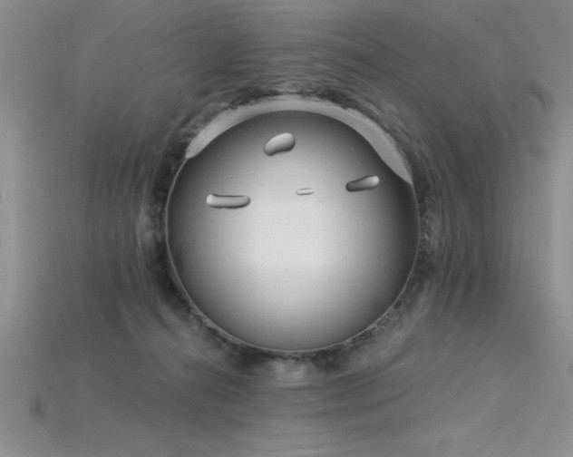 X0000115830272200911131512