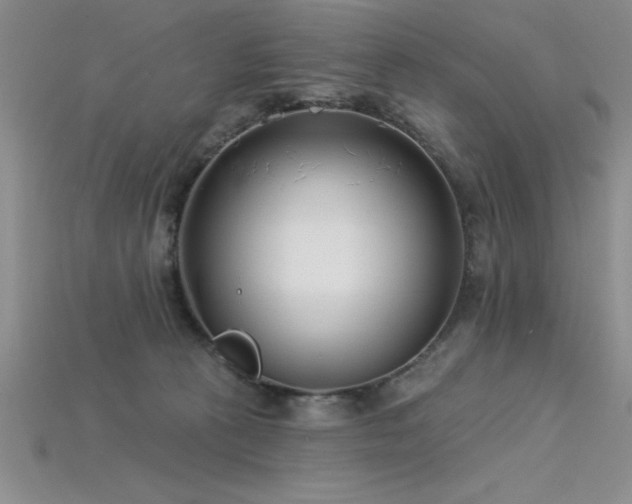 X0000115830273200911131512