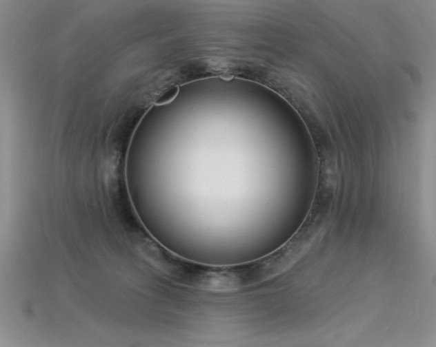 X0000115830275200911131512