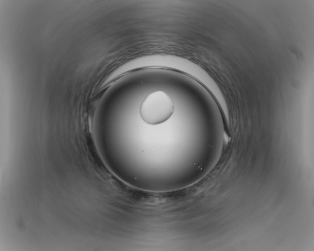 X0000115830276200911131512