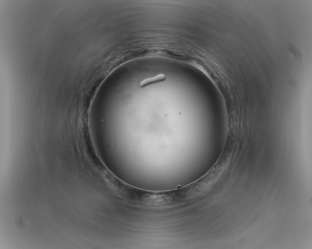 X0000115830277200911131512