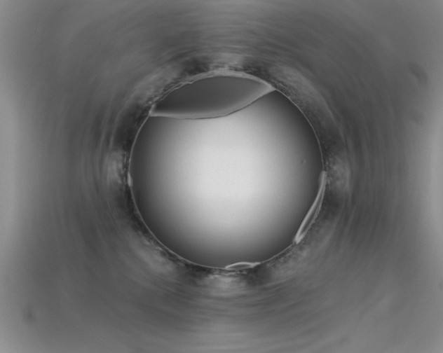 X0000115830280200911131512