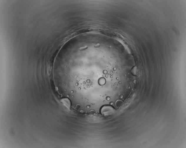 X0000115830281200911131512