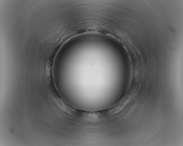 X0000115830282200911131512