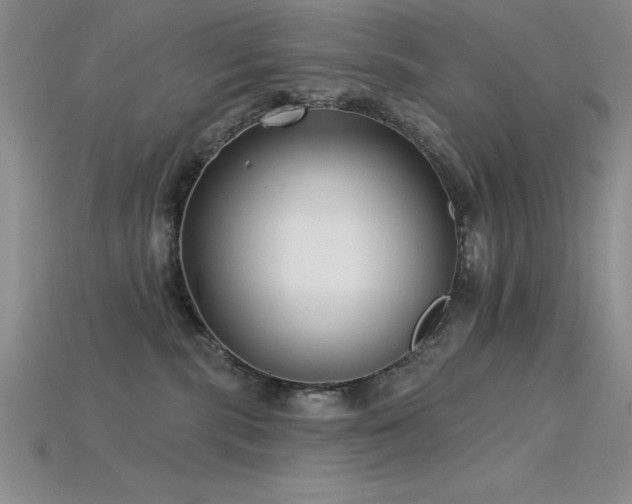 X0000115830283200911131512