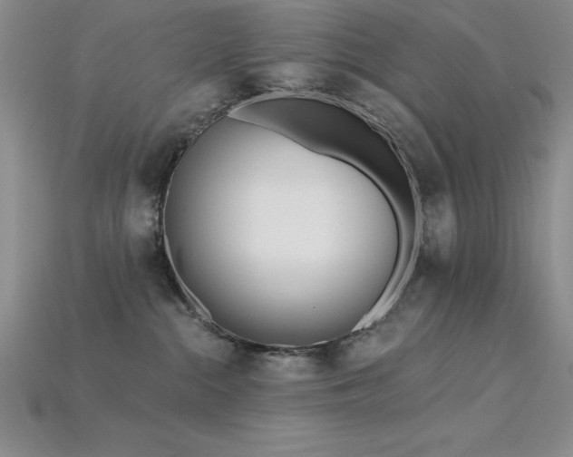 X0000115830284200911131512