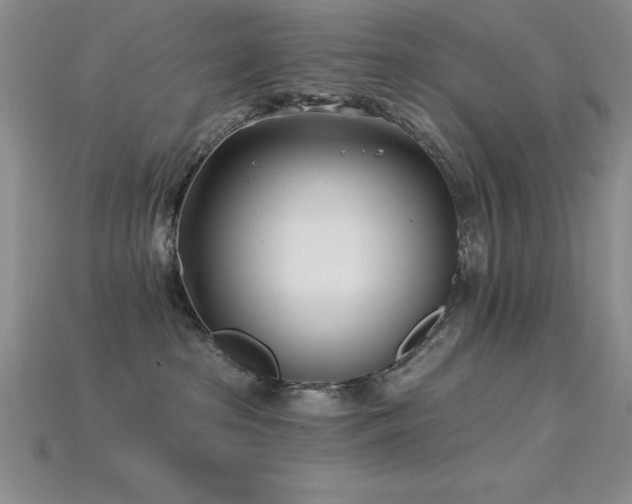 X0000115830285200911131512