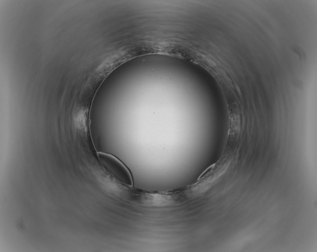 X0000115830286200911131512