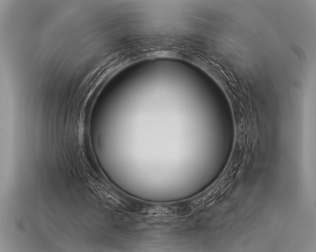 X0000115830290200911131511