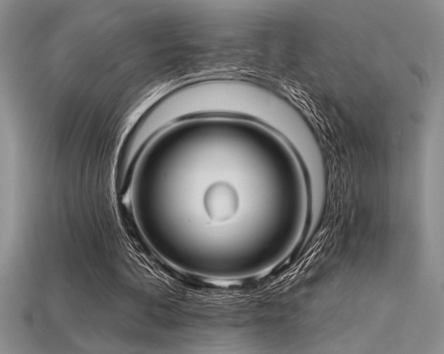 X0000115830292200911131511