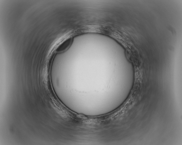 X0000115830293200911131511