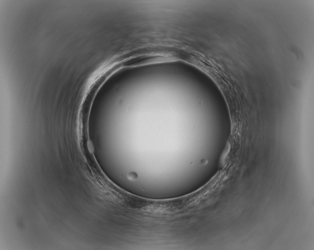 X0000115830294200911131511