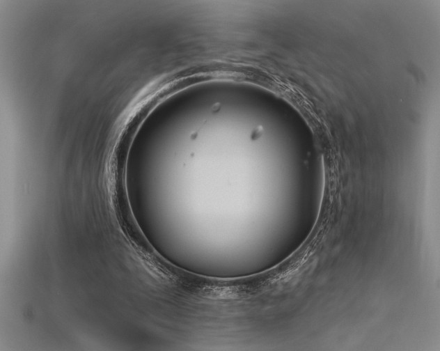 X0000115830295200911131511