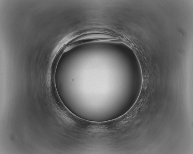 X0000115830296200911131511