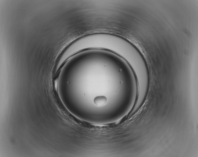 X0000115830297200911131511