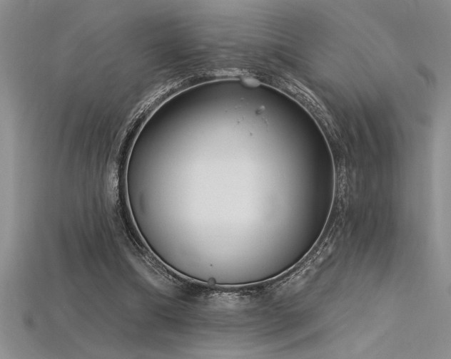 X0000115830298200911131511