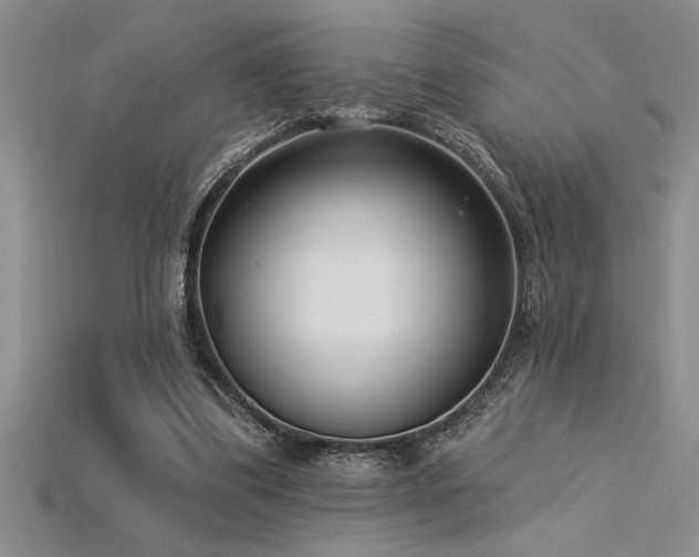 X0000115830299200911131511