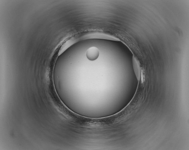 X0000115830300200911131511