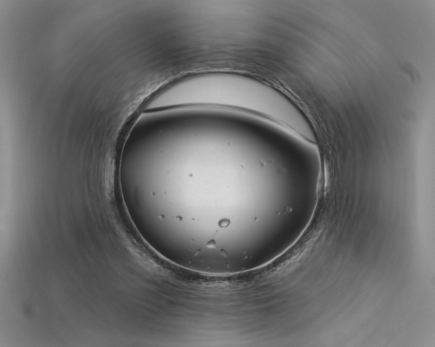 X0000115830301200911131511