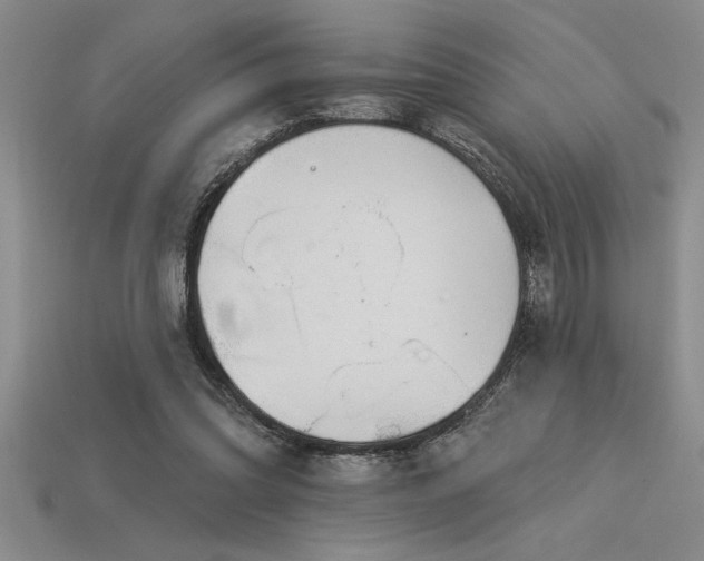 X0000115830302200911131511