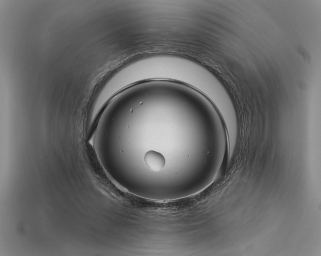 X0000115830303200911131511