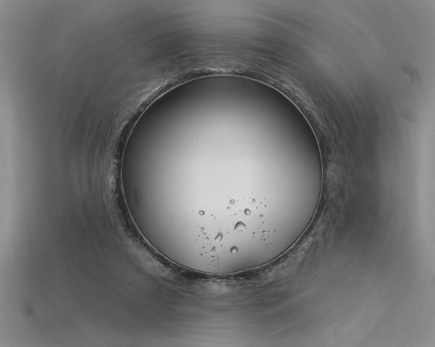 X0000115830305200911131511