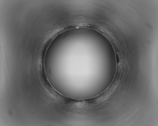 X0000115830306200911131511