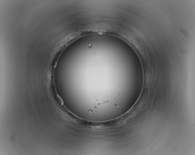 X0000115830309200911131511