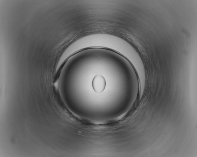 X0000115830313200911131511