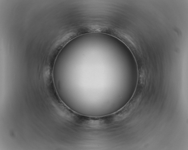 X0000115830314200911131511