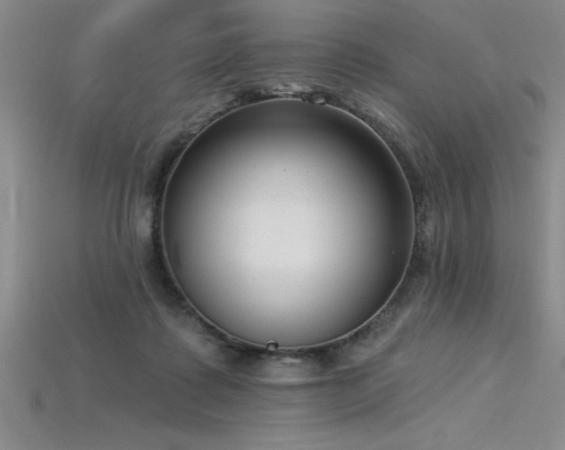 X0000115830315200911131511