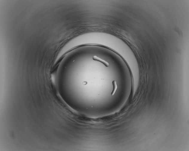 X0000115830317200911131511