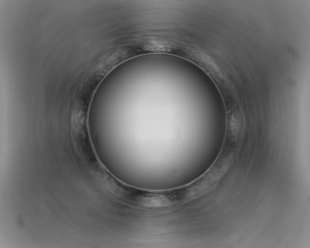 X0000115830322200911131511