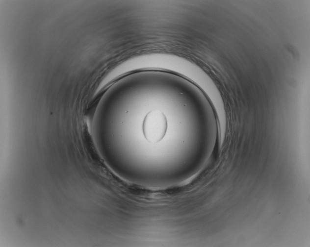 X0000115830324200911131511