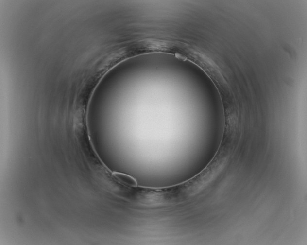 X0000115830325200911131511