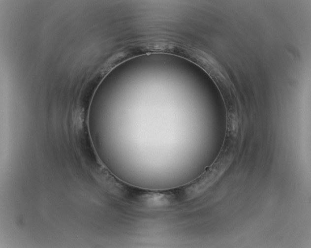 X0000115830326200911131511