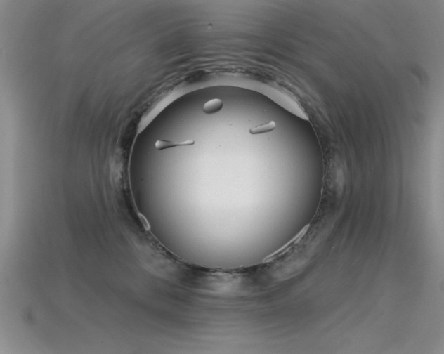 X0000115830328200911131510