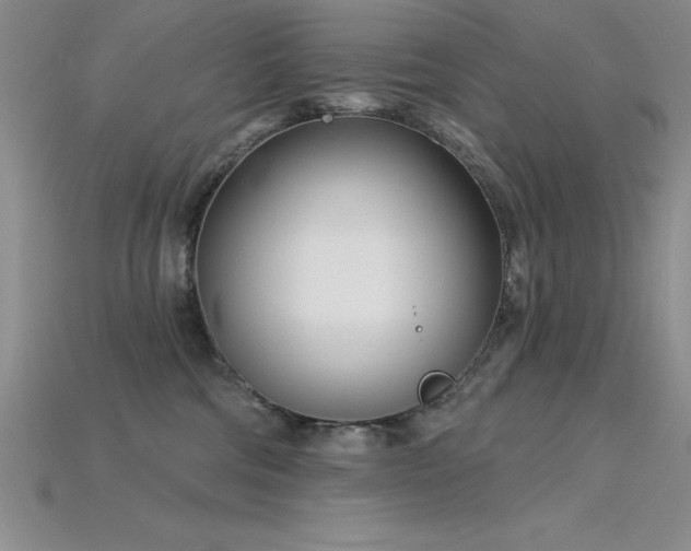 X0000115830330200911131510