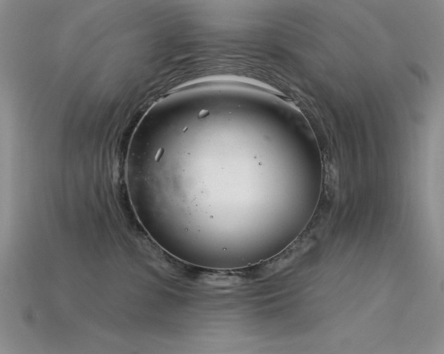 X0000115830331200911131510