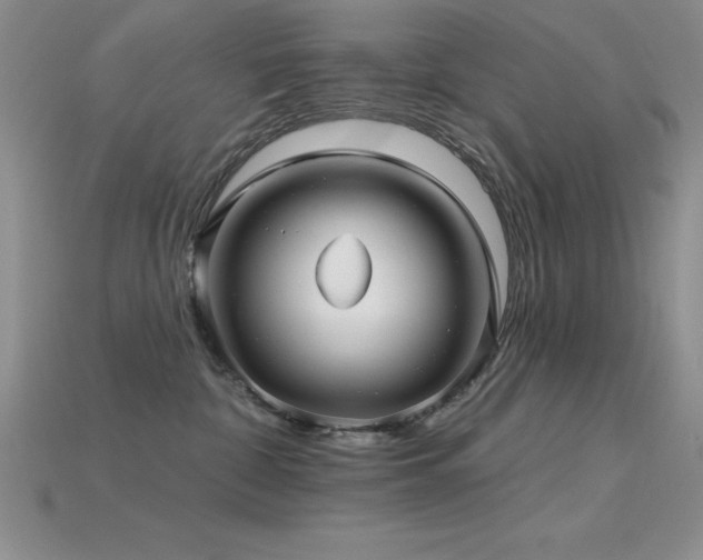 X0000115830332200911131510