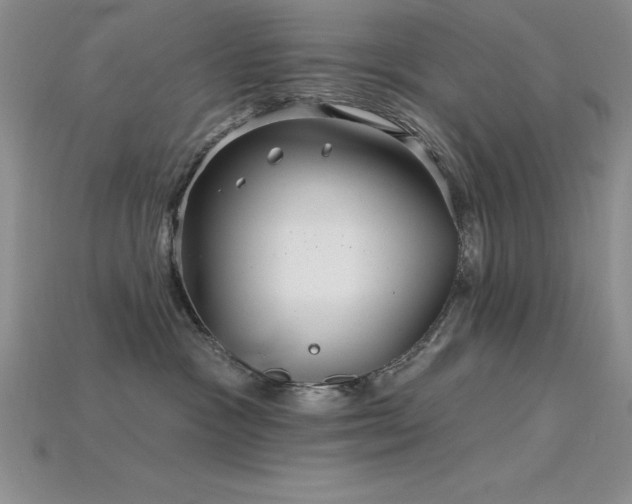 X0000115830333200911131510