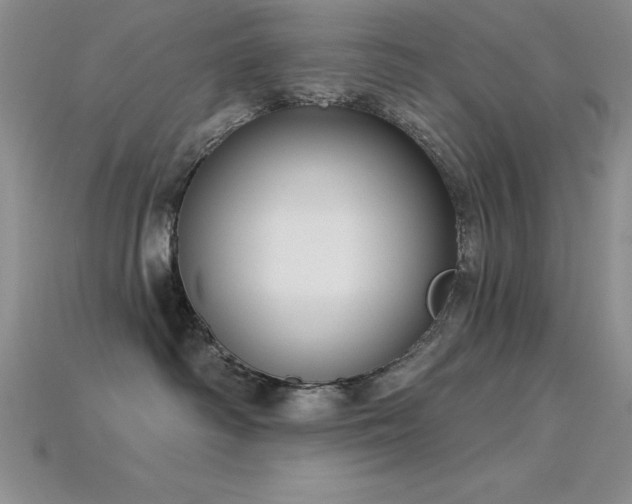 X0000115830334200911131510