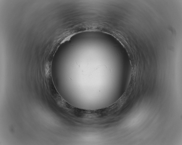 X0000115830335200911131510