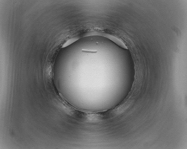 X0000115830336200911131510