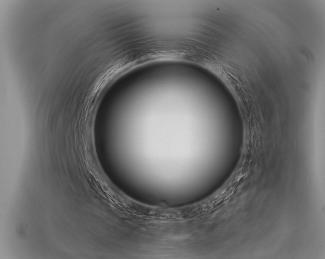 X0000115830337200911131510