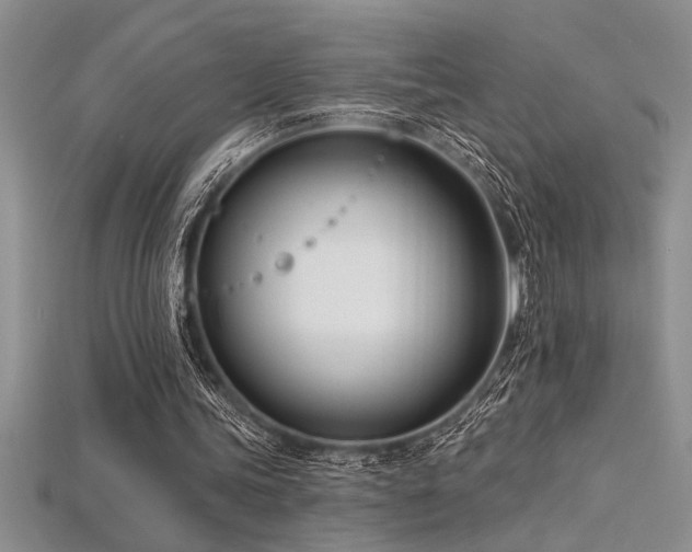 X0000115830339200911131510