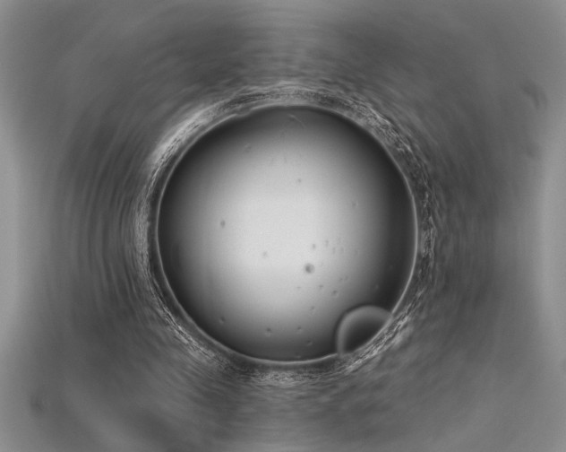 X0000115830341200911131510