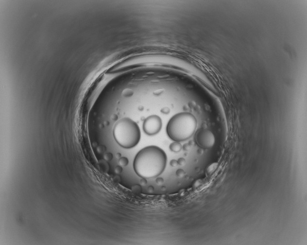 X0000115830343200911131510