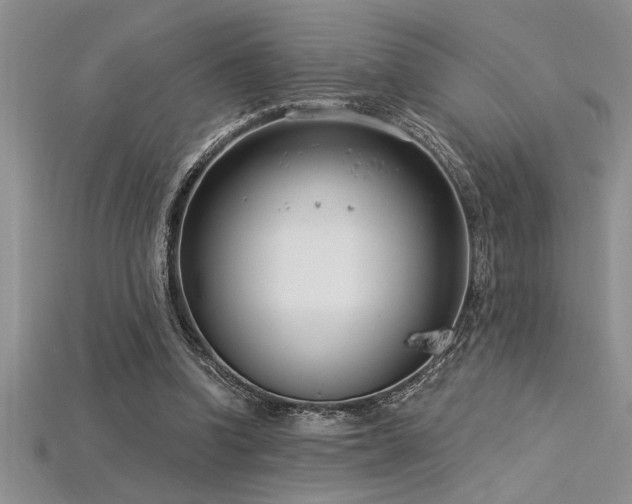 X0000115830346200911131510