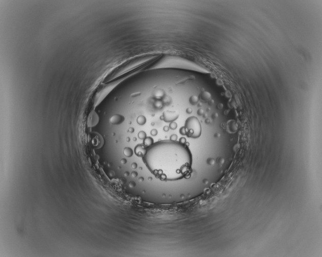 X0000115830347200911131510